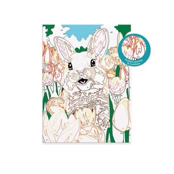 Hobby festőkészlet+keret- nyuszi