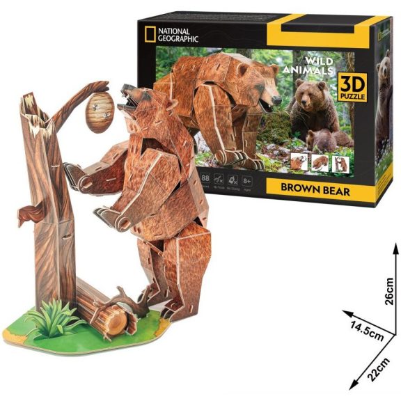 3D puzzle National Geographic- Barnamedve