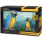 3D puzzle National Geographic- Kéktorkú ara papagály