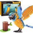 3D puzzle National Geographic- Kéktorkú ara papagály