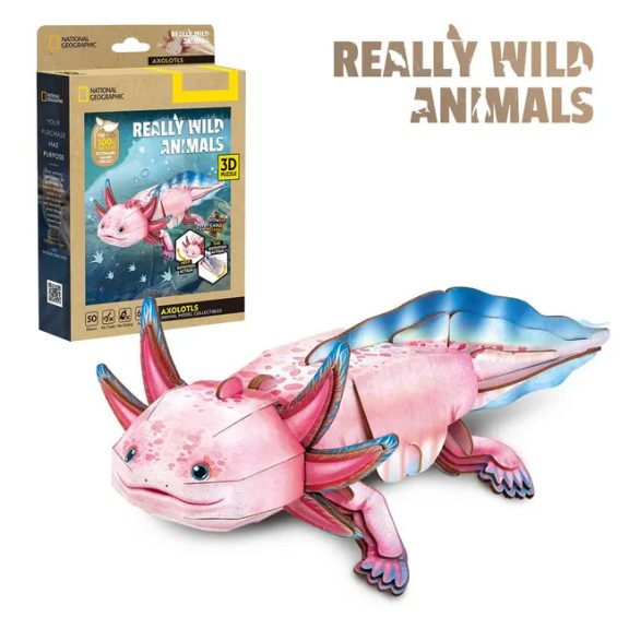 3D puzzle National Geographic- Axolotl -50db-os