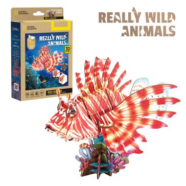 3D puzzle National Geographic- vörös oroszlánhal