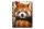 3D notesz A6-os méret-Vörös Panda
