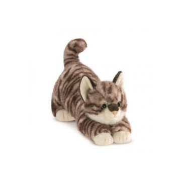 Borealis plüss 36 cm Esme Macska