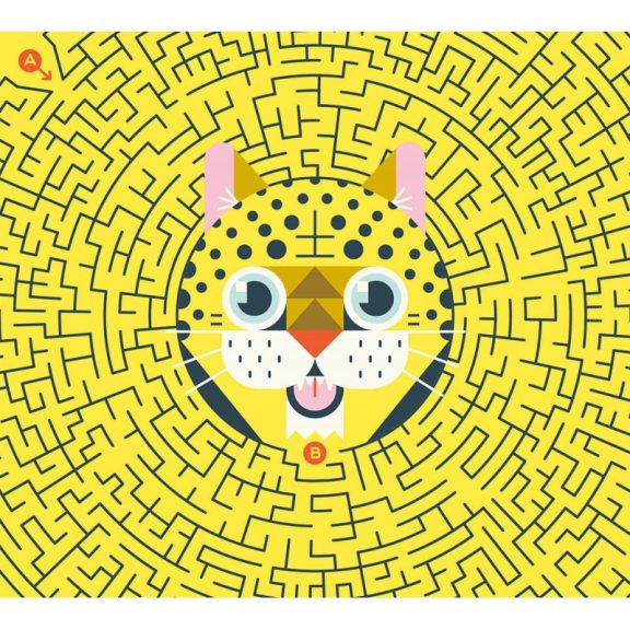 Letörölhető fejtörő feledatkártyák, Labirintusok Auzou