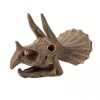 Triceratops koponya felfedező készlet BUKI