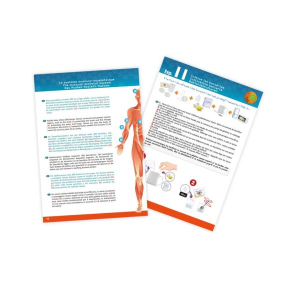 Tudományos készlet-Az emberi test Buki