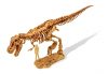 Dino felfedező készlet T-rex