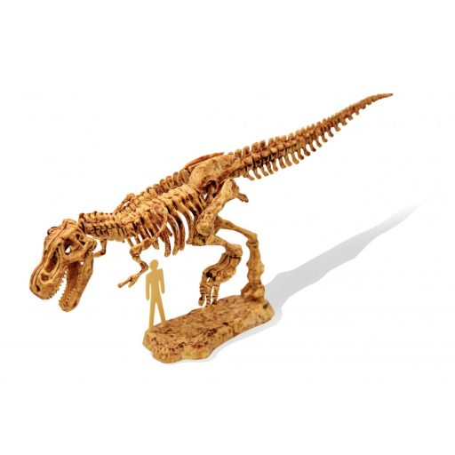 Dino felfedező készlet T-REX BUKI