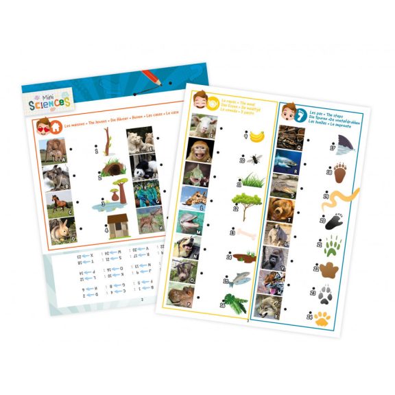 Mini-tudomany-Multilampa-Diavetito-ejszakai-feny-z