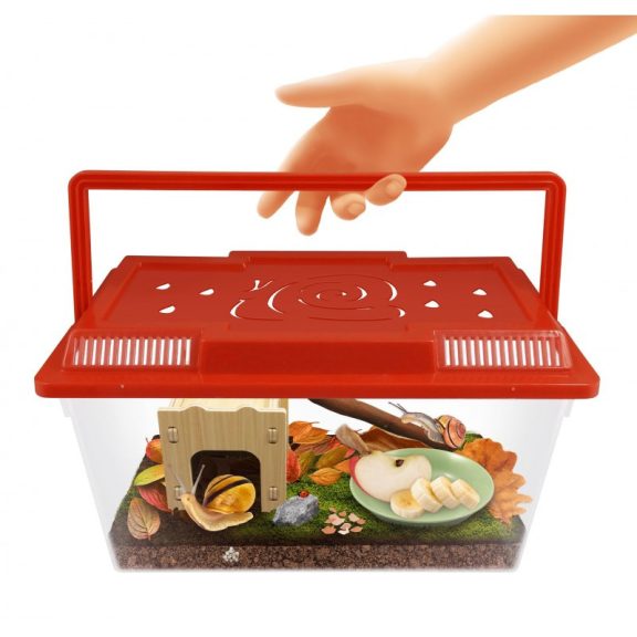 Terrárium csigák megfigyeléséhez BUKI