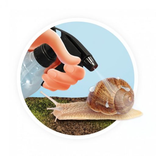 Terrárium csigák megfigyeléséhez BUKI