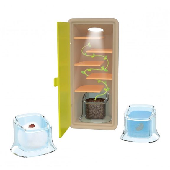 Növénytan- Csíráztató készlet  BUKI