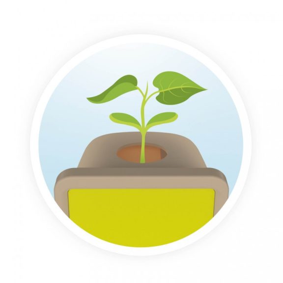 Növénytan- Csíráztató készlet  BUKI