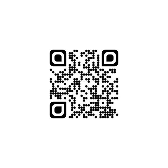 Képkirakó - Tükröző állatfigurák - Ze Mirror Animals Djeco