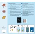   Művészeti műhely - Papírok a Cianotípia technikához - Cyanotype Paper