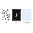   Művészeti műhely - Napnyomat kezdő készlet - Cyanotype Starter Kit