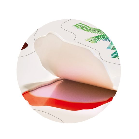 Zselés matricázó készlet, A dínók földjén MierEdu