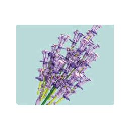 Bouquet virág építőkocka, Levendula Nice Group